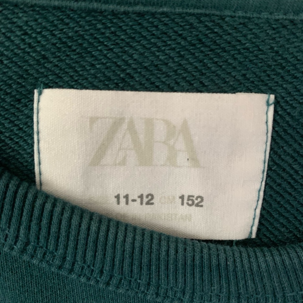 Zara Boys peacock sweatshirt